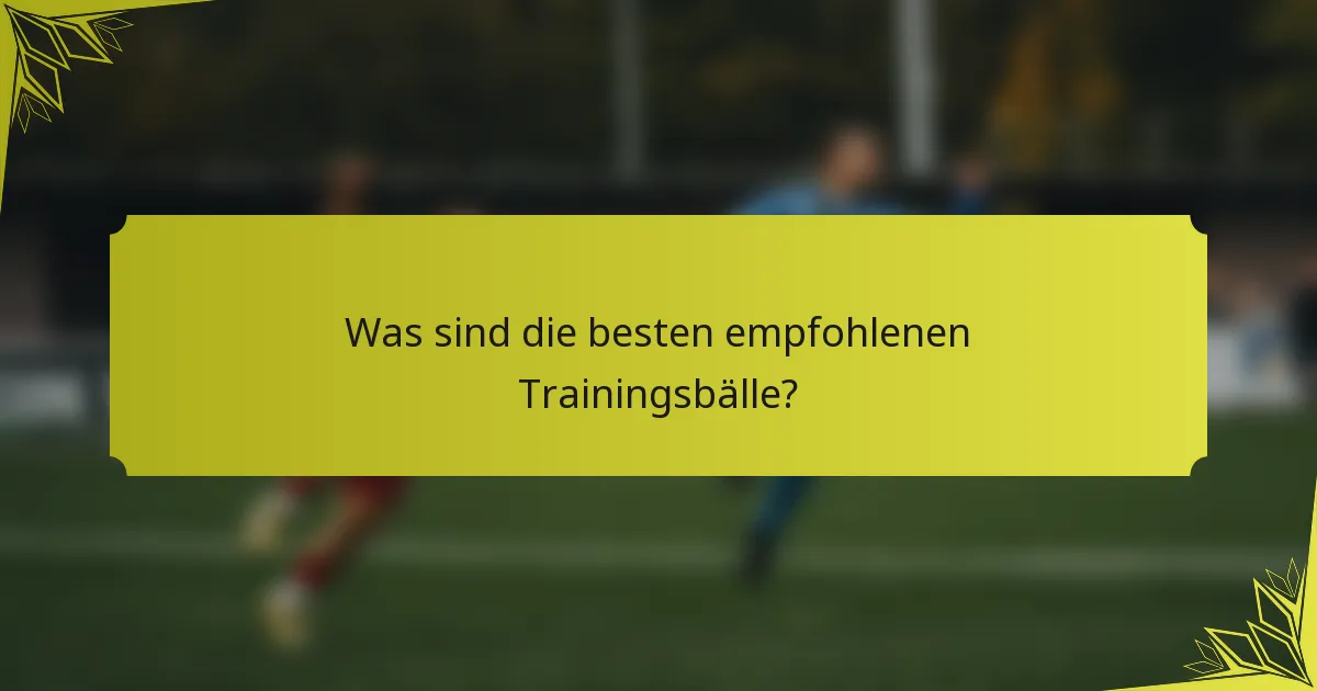 Was sind die besten empfohlenen Trainingsbälle?