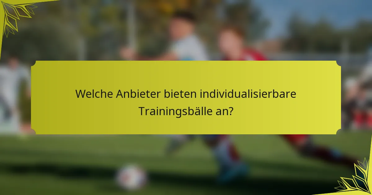 Welche Anbieter bieten individualisierbare Trainingsbälle an?