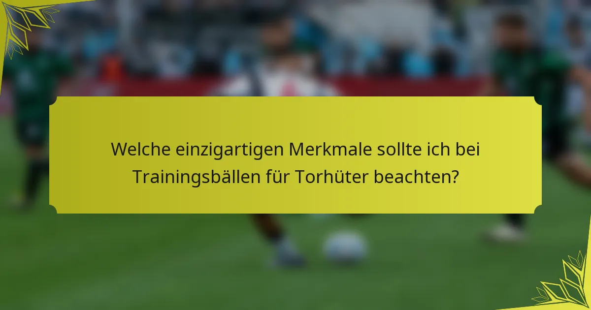 Welche einzigartigen Merkmale sollte ich bei Trainingsbällen für Torhüter beachten?