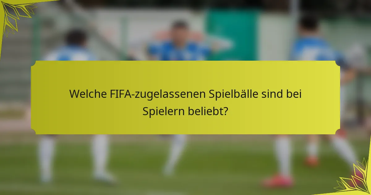 Welche FIFA-zugelassenen Spielbälle sind bei Spielern beliebt?