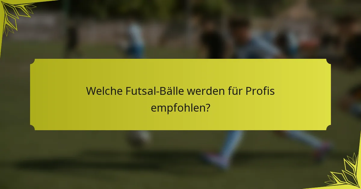 Welche Futsal-Bälle werden für Profis empfohlen?