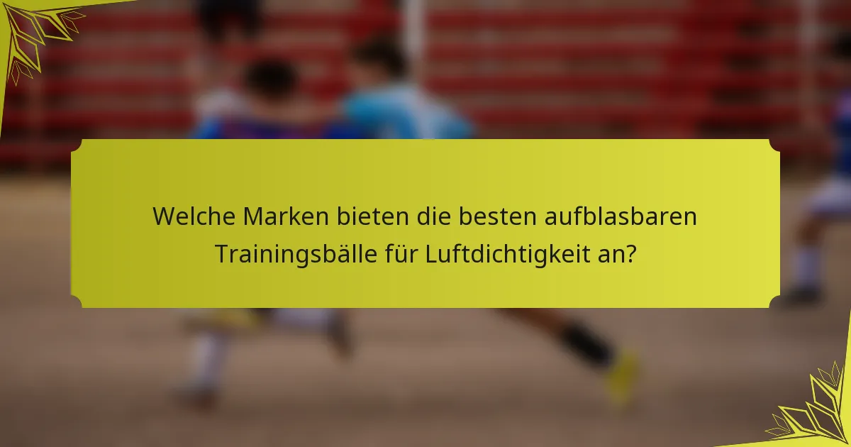 Welche Marken bieten die besten aufblasbaren Trainingsbälle für Luftdichtigkeit an?