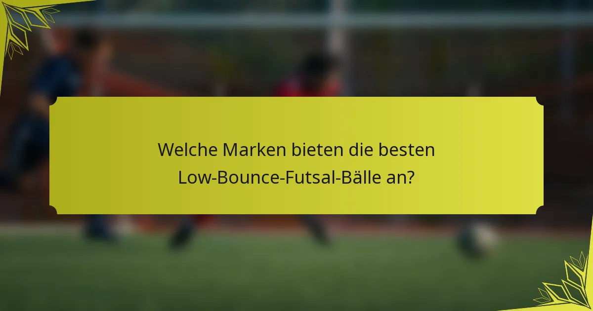 Welche Marken bieten die besten Low-Bounce-Futsal-Bälle an?