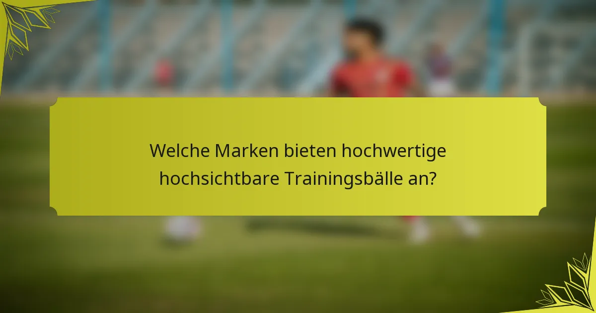 Welche Marken bieten hochwertige hochsichtbare Trainingsbälle an?