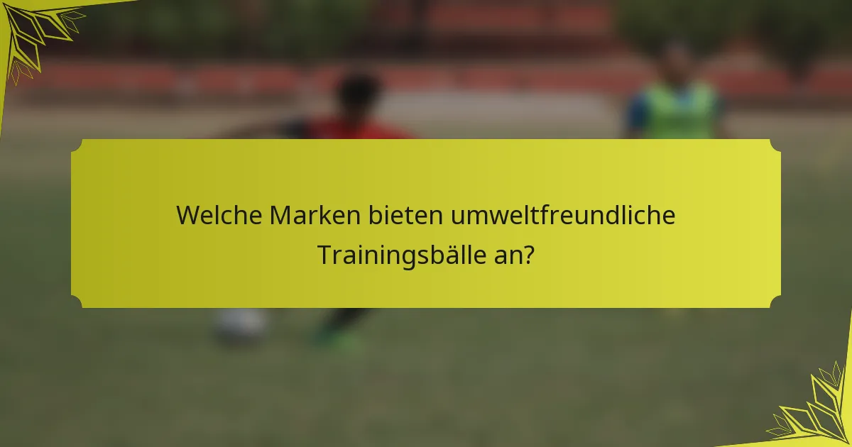 Welche Marken bieten umweltfreundliche Trainingsbälle an?