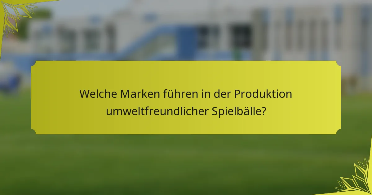 Welche Marken führen in der Produktion umweltfreundlicher Spielbälle?
