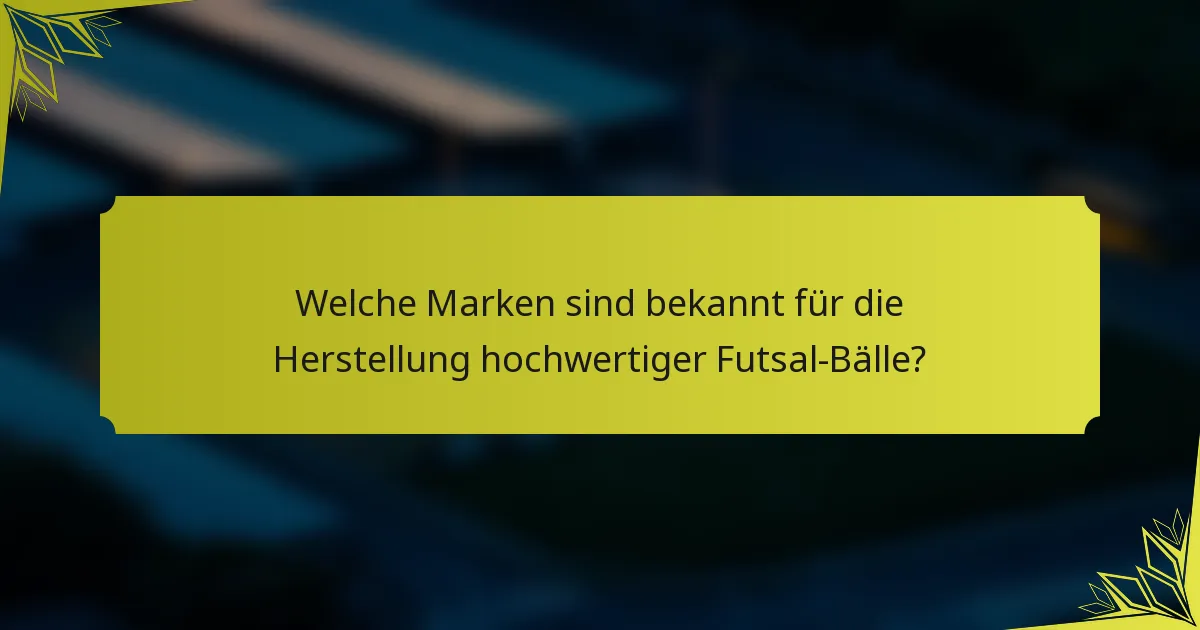 Welche Marken sind bekannt für die Herstellung hochwertiger Futsal-Bälle?