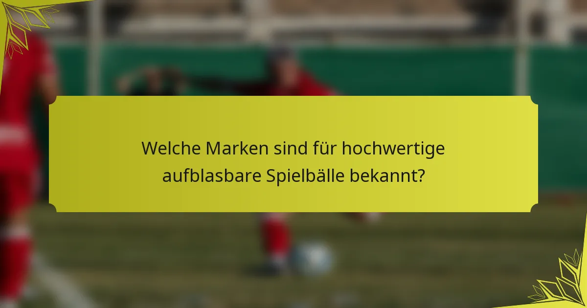 Welche Marken sind für hochwertige aufblasbare Spielbälle bekannt?