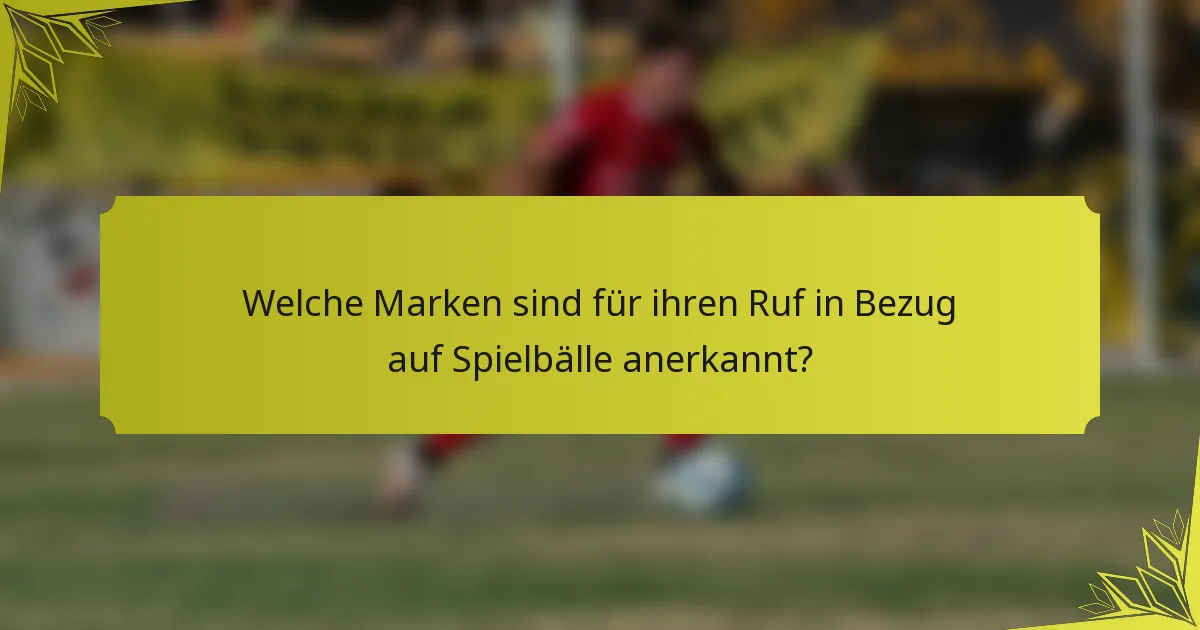Welche Marken sind für ihren Ruf in Bezug auf Spielbälle anerkannt?