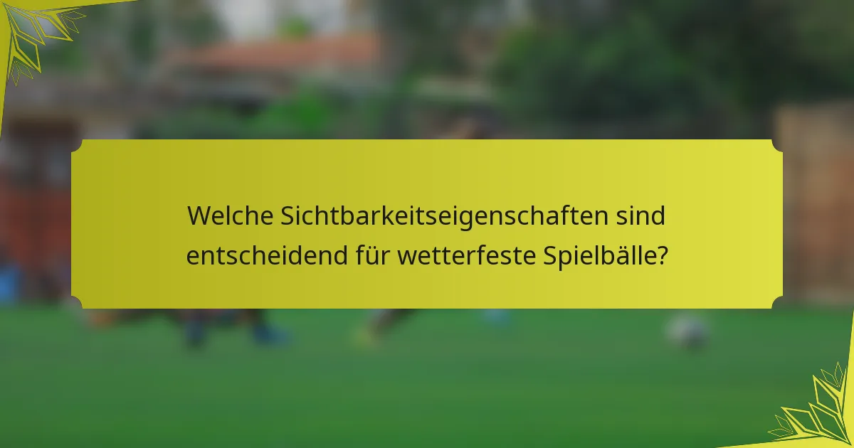 Welche Sichtbarkeitseigenschaften sind entscheidend für wetterfeste Spielbälle?