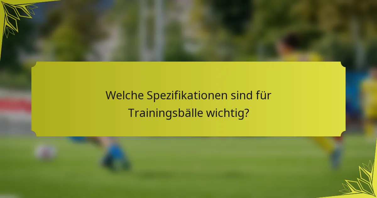Welche Spezifikationen sind für Trainingsbälle wichtig?