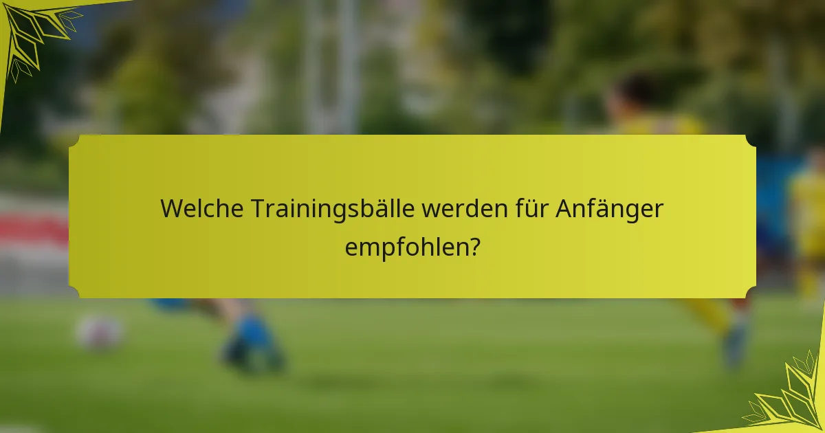 Welche Trainingsbälle werden für Anfänger empfohlen?