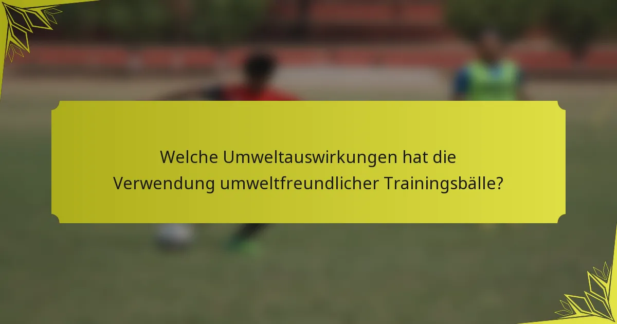 Welche Umweltauswirkungen hat die Verwendung umweltfreundlicher Trainingsbälle?