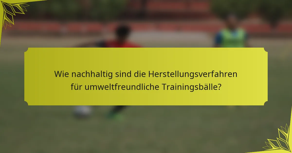 Wie nachhaltig sind die Herstellungsverfahren für umweltfreundliche Trainingsbälle?